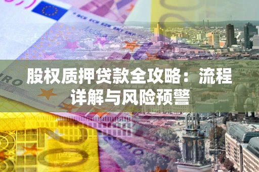 北京股权质押贷款全攻略：流程详解与风险预警