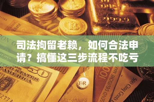 北京司法拘留老赖，如何合法申请？搞懂这三步流程不吃亏！
