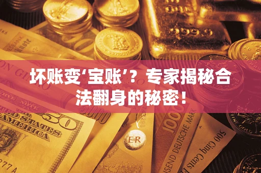 北京坏账变‘宝账’？专家揭秘合法翻身的秘密！
