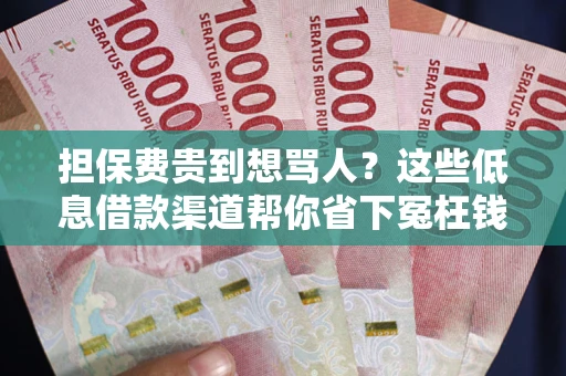 北京担保费贵到想骂人？这些低息借款渠道帮你省下冤枉钱