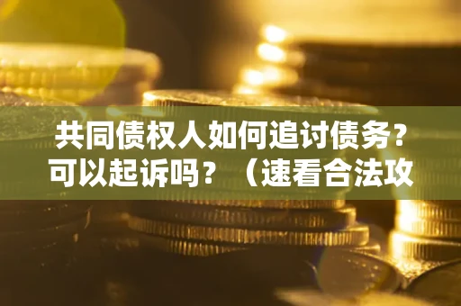 北京共同债权人如何追讨债务？可以起诉吗？（速看合法攻略）