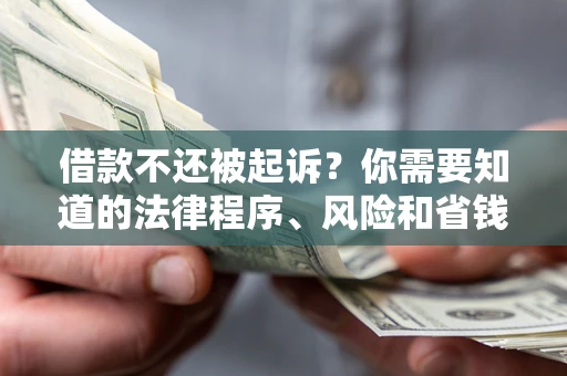 北京借款不还被起诉？你需要知道的法律程序、风险和省钱技巧